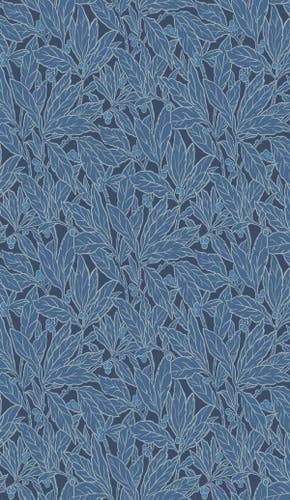 Carma - Legacy Prints