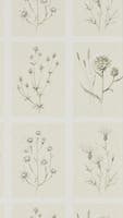 Little Thistles Ecru Embleton Bay Wallpapers