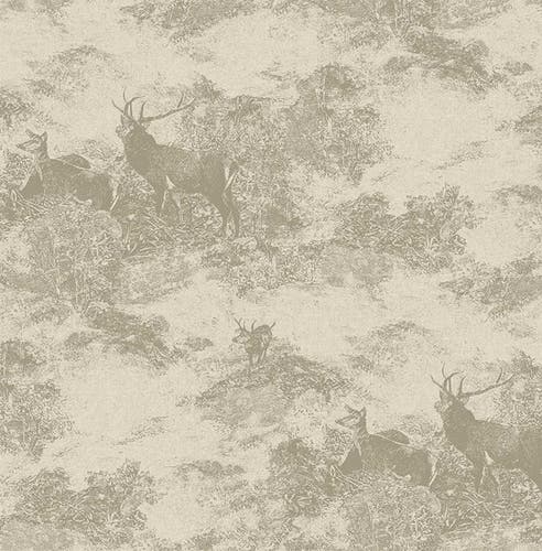 Carma - Sauvage 2
