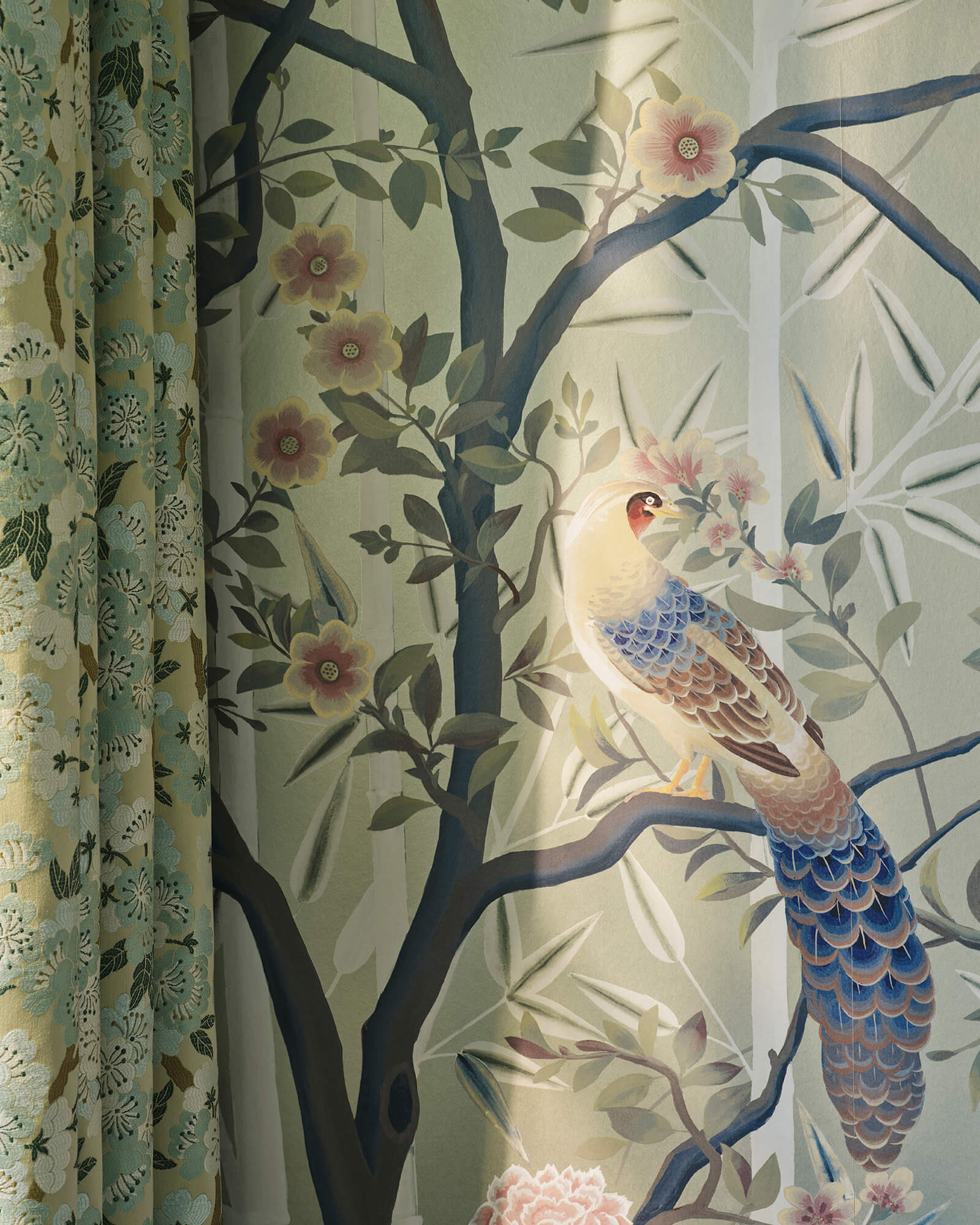 Manuel Canovas - La Voliere Laurier