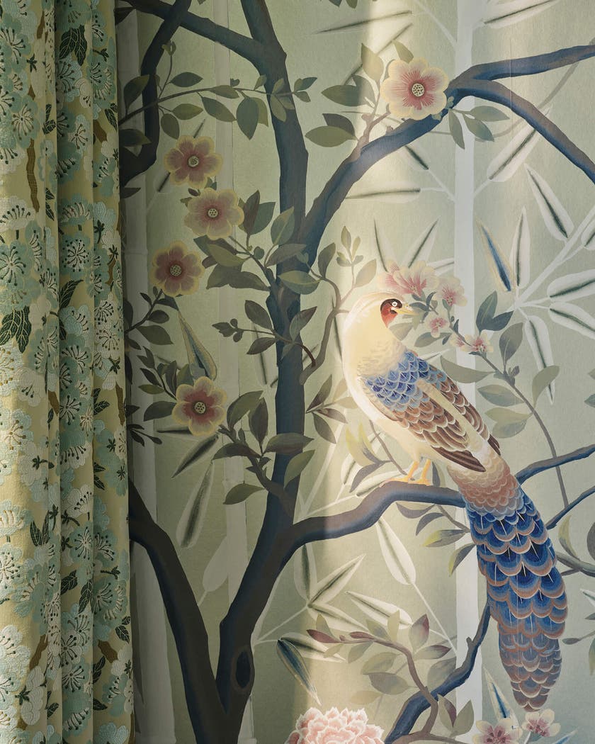 Manuel Canovas - La Voliere Laurier