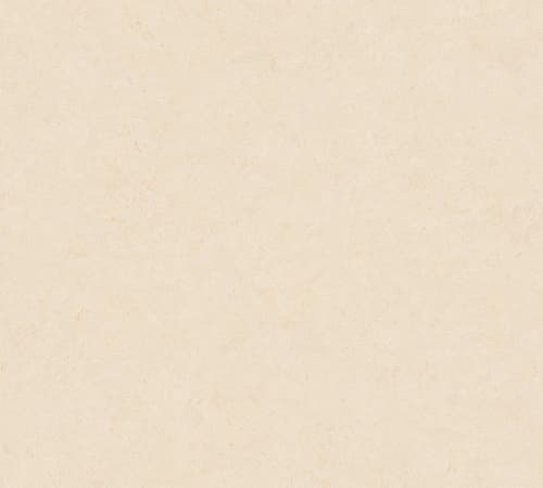 Metropolitan Stories II