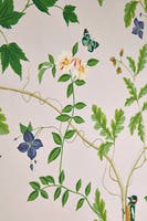 Sycamore and Oak Botanica Arboretum Wallpapers