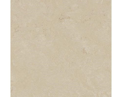 Marmoleum Click Cloudy sand 60 x 30 cm