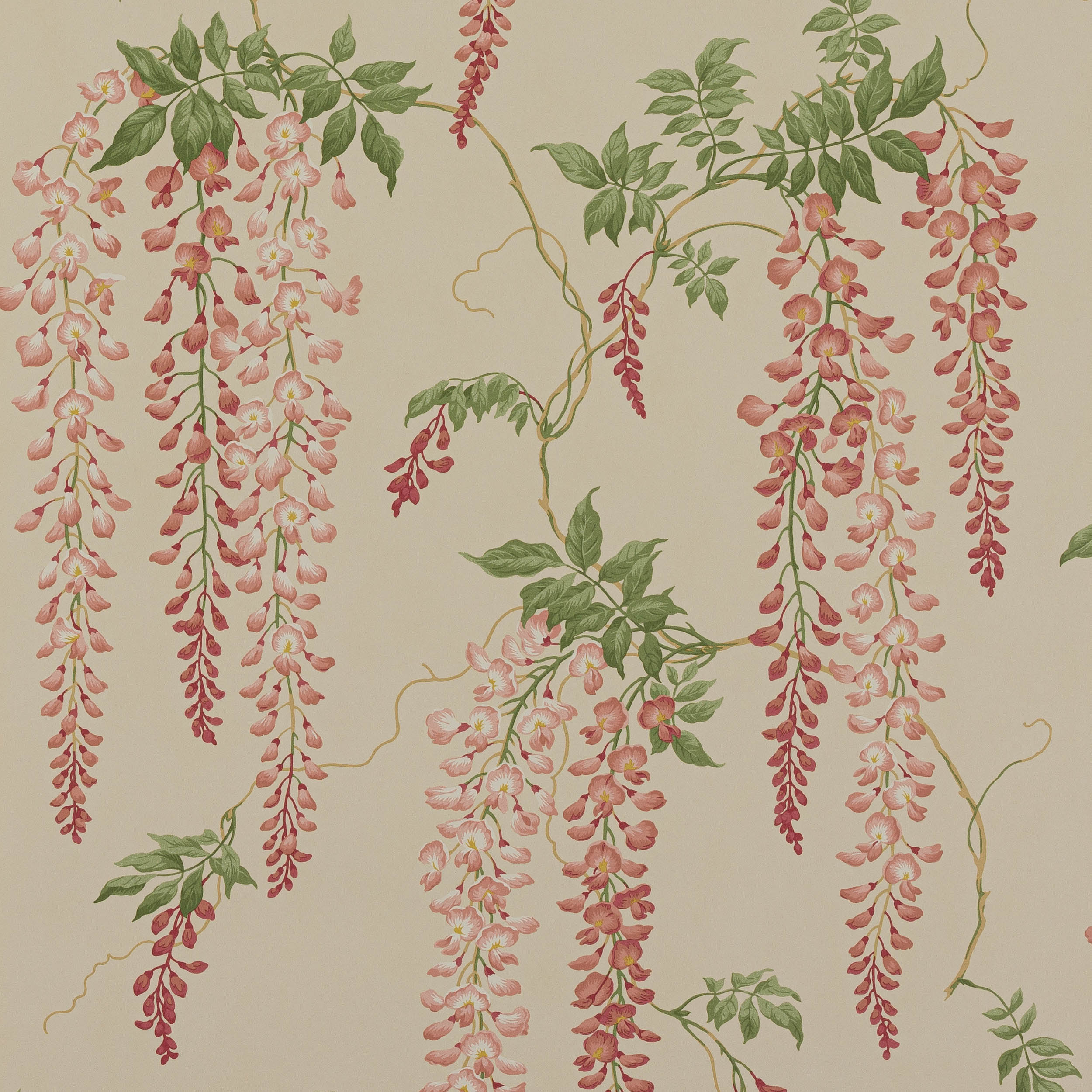 Colefax and Fowler - Seraphina Old Pink/Leaf