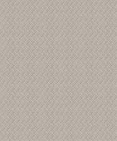 SO COLOR 4 PAOLO BEIGE SO COLOR 4