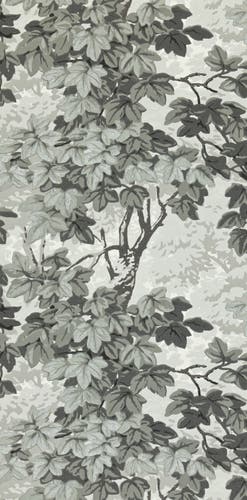 Zoffany - Richmond Park Charcoal Kensington Walk Wallpaper