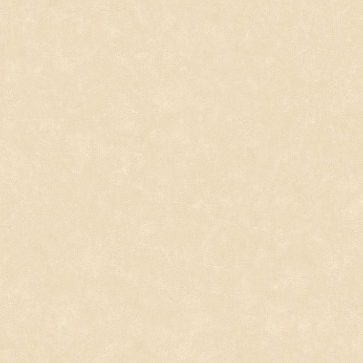 Caselio - Uni Mat Beige Ceramique