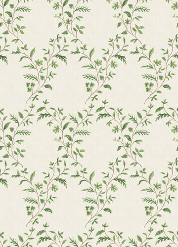 Nina Campbell - Hollingbourne Trellis Ivory Green