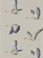Elysian Geese Gilver Elysian Wallpapers