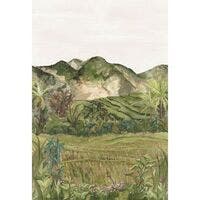 HAPAO OLIVE PANORAMAS 2