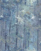 Glade Lagoon NW Aurora