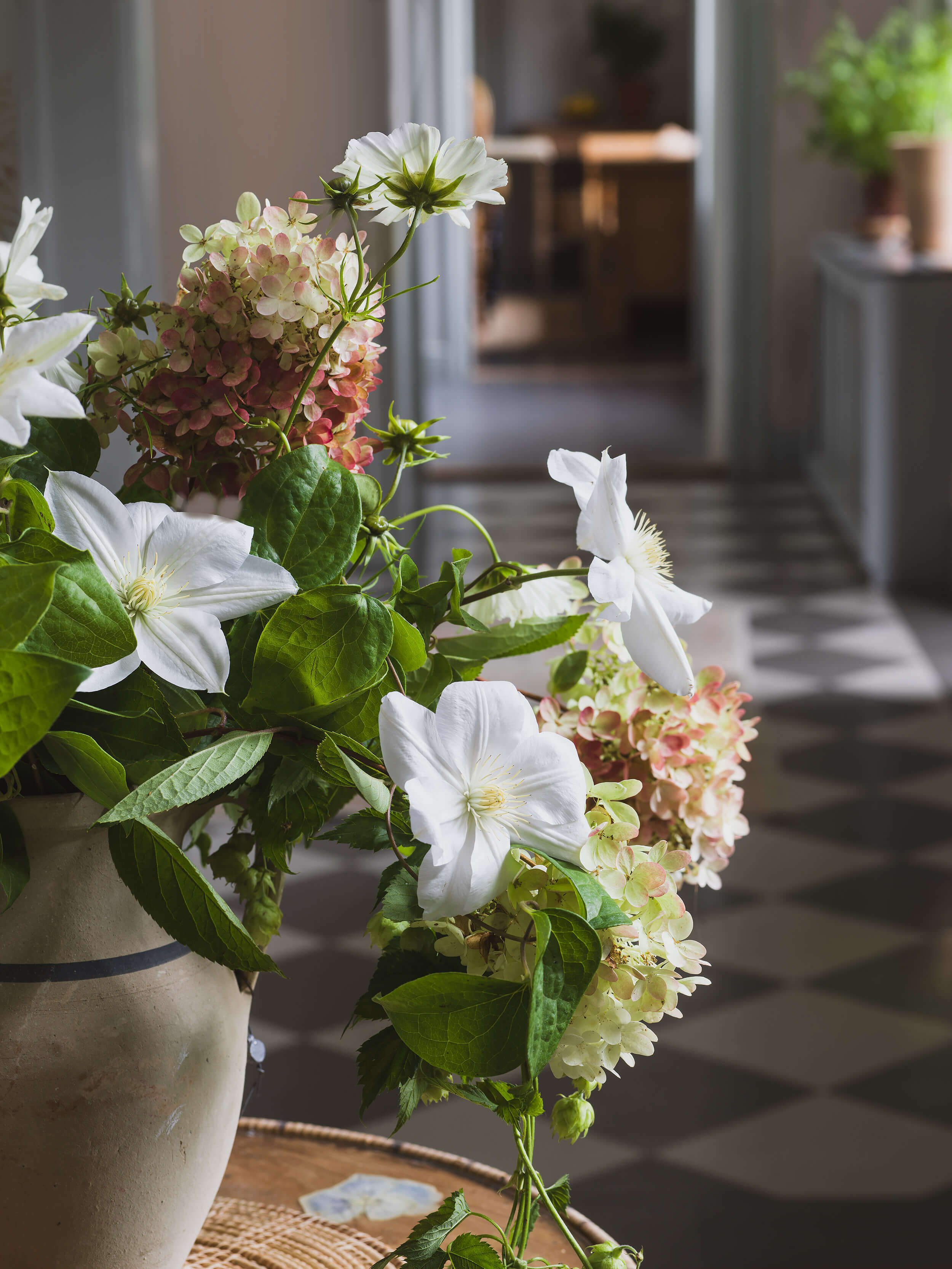 Boråstapeter - Dahliadröm