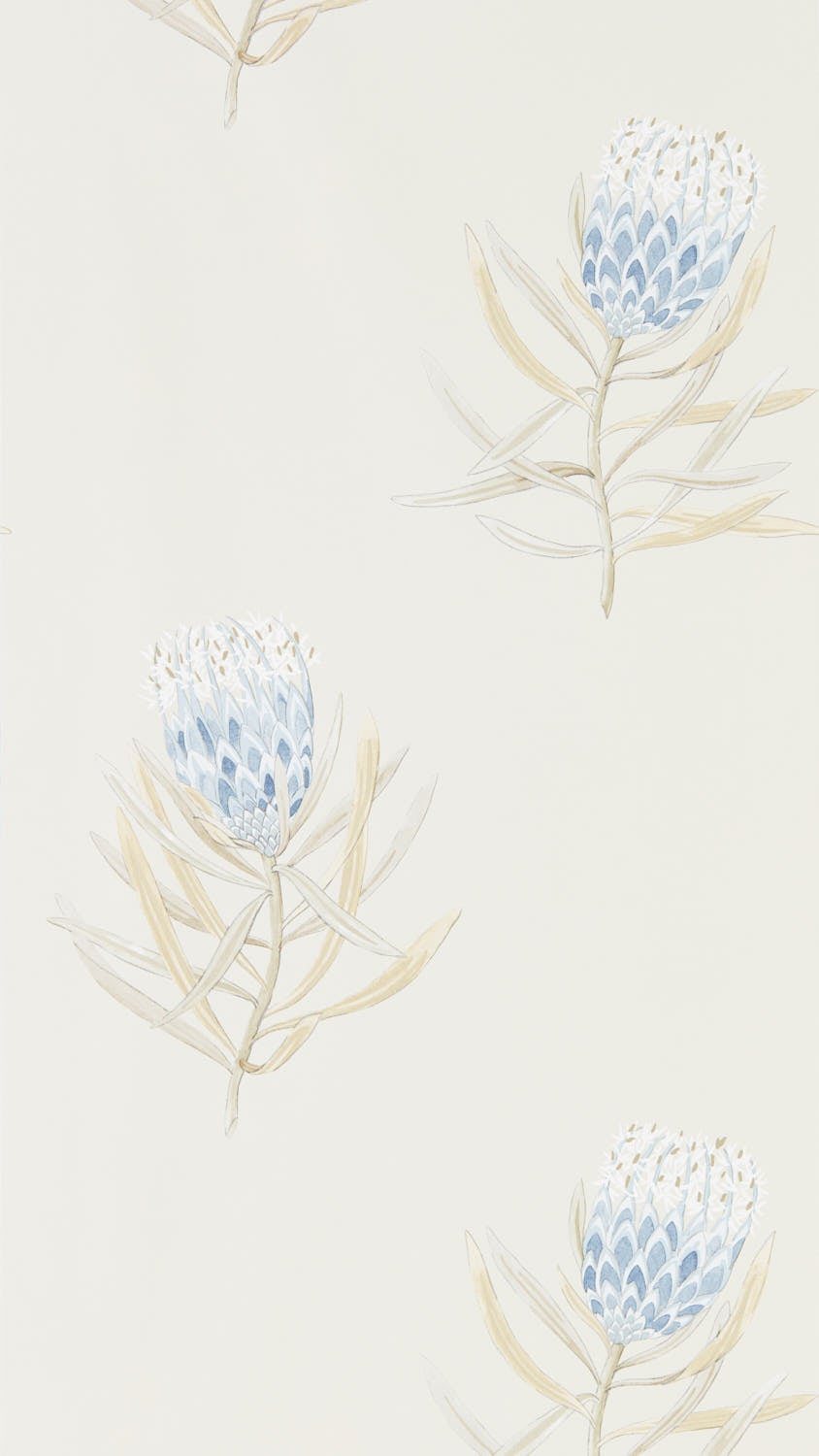 Sanderson - Protea Flower China Blue/Canvas