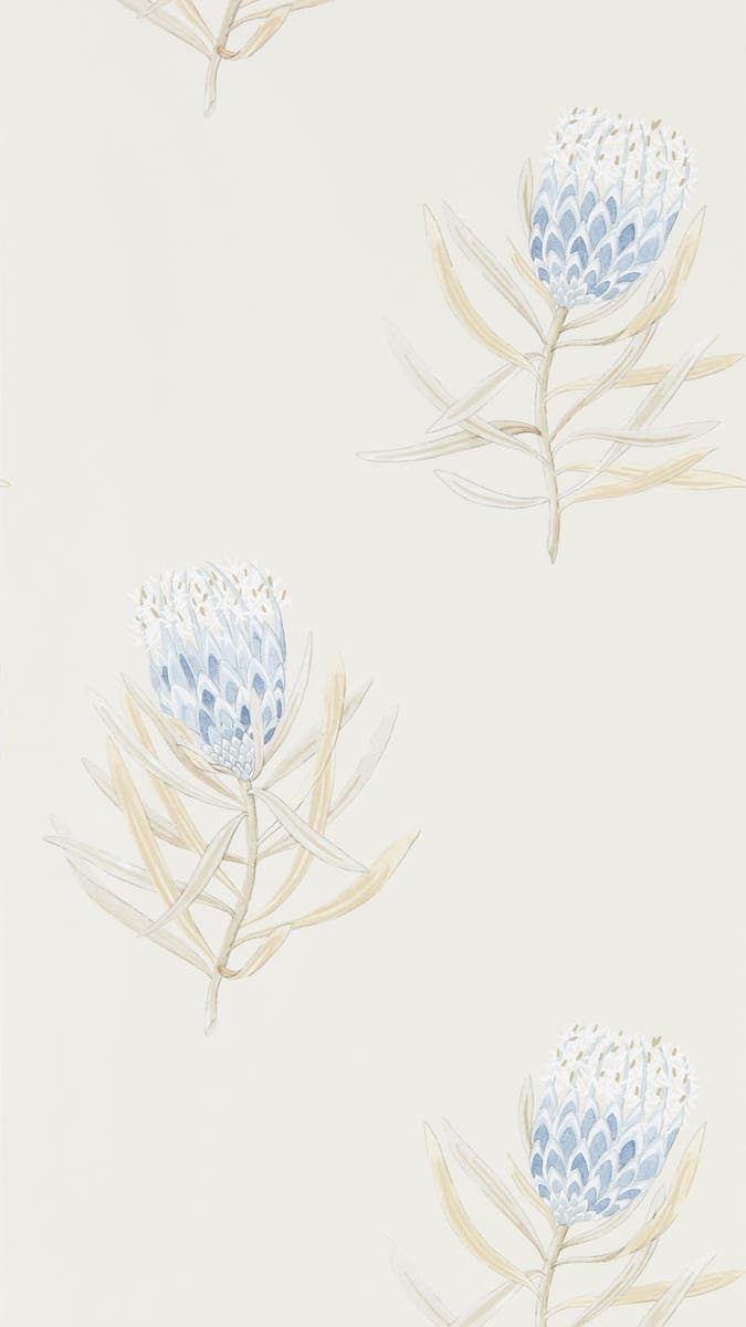Sanderson - Protea Flower China Blue/Canvas