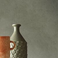 ARGILE LICHEN LA CHAUX