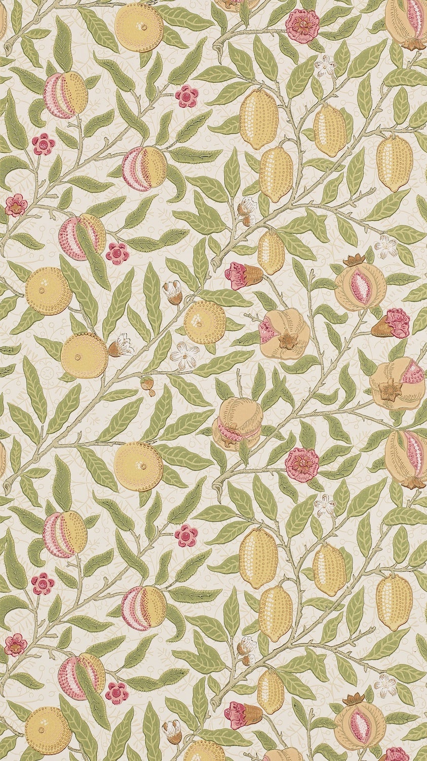 Morris & Co - Fruit Limestone / Articho Morris 160th Anniversary