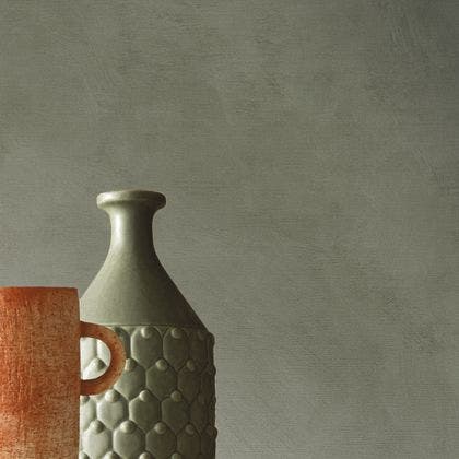 ARGILE LICHEN LA CHAUX