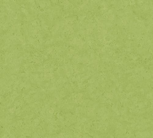 Metropolitan Stories II