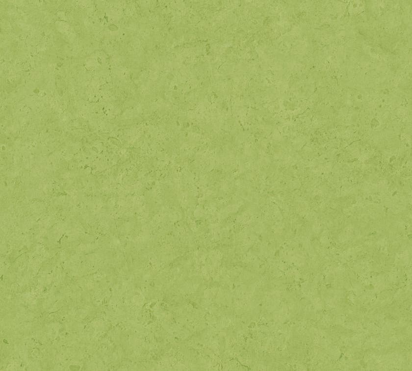 Metropolitan Stories II